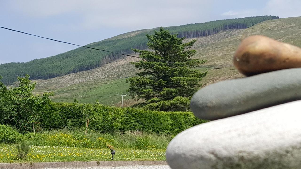 Bed and Breakfast An Charraig Ban On The Wild Atlantic Way F94Wt02 à Ardara Extérieur photo